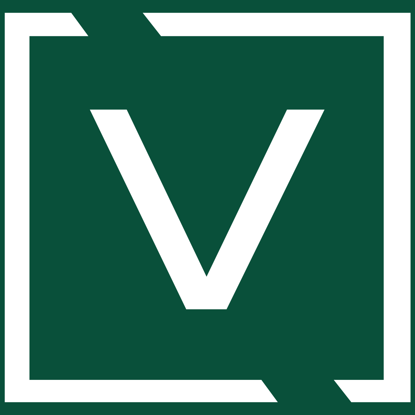 V-icon